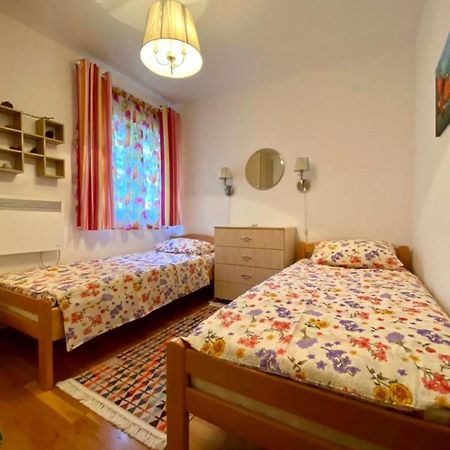 Apartment Liza Petrovac מראה חיצוני תמונה