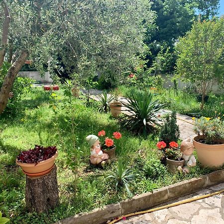 Apartment Liza Petrovac מראה חיצוני תמונה