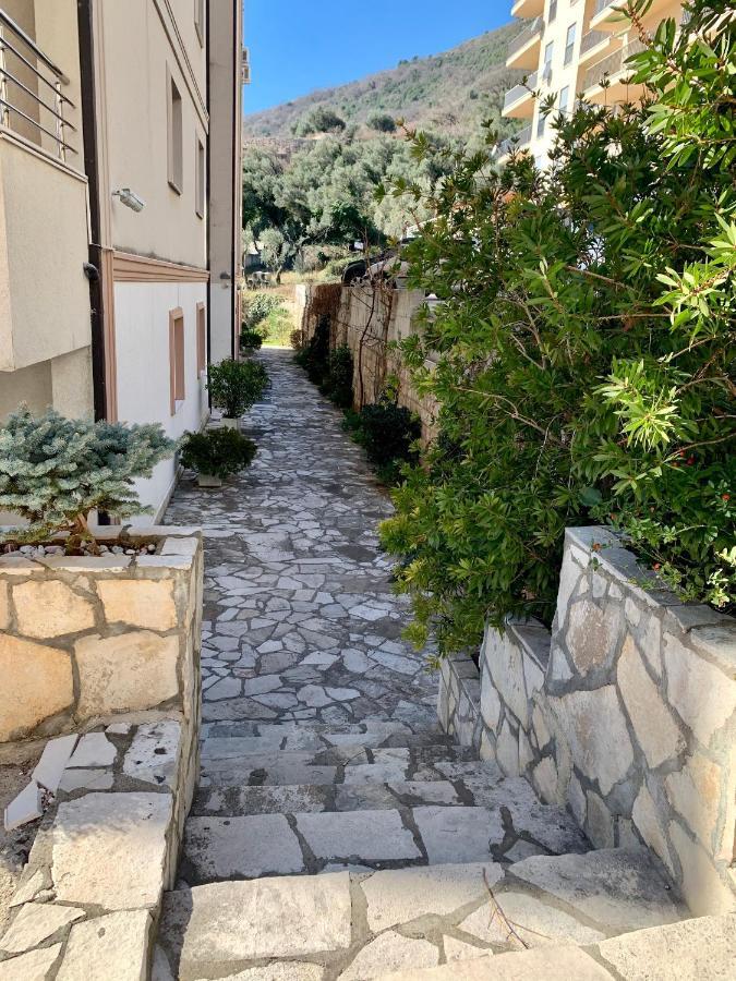 Apartment Liza Petrovac מראה חיצוני תמונה