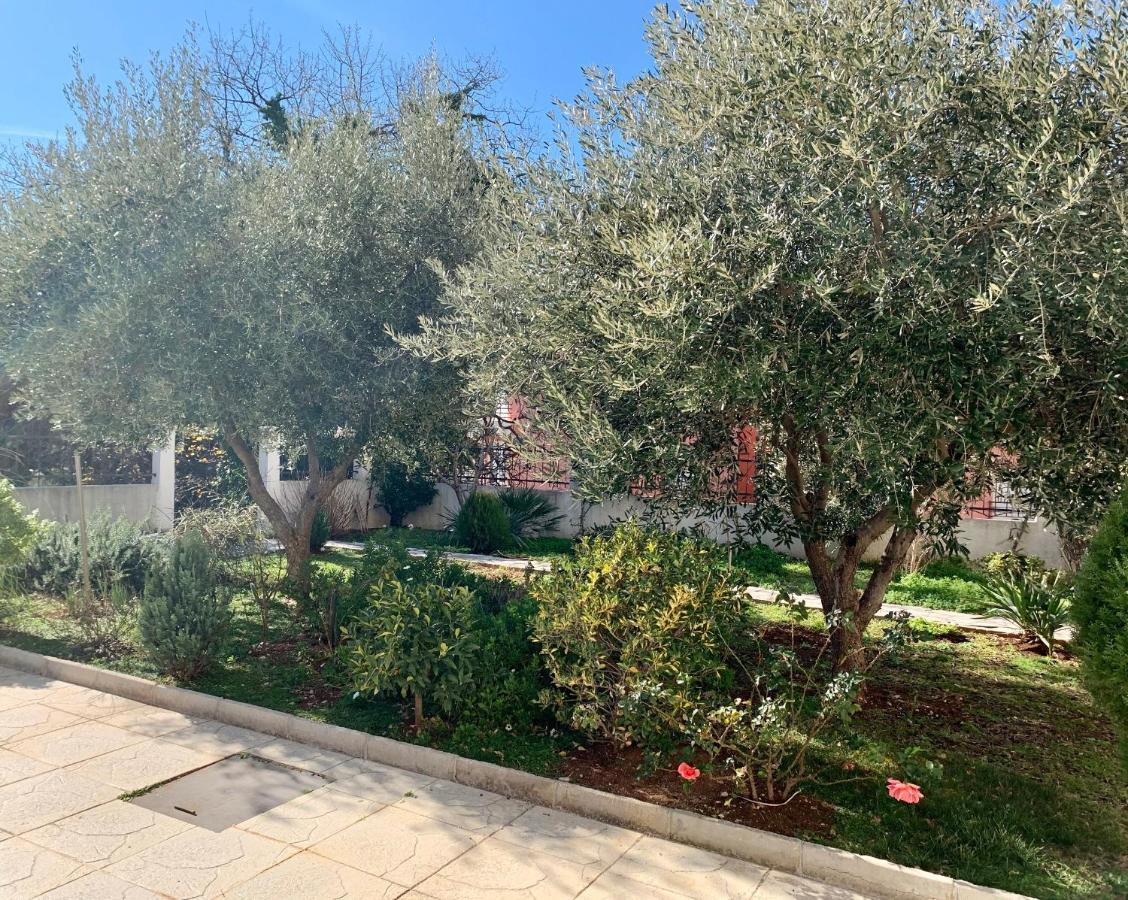 Apartment Liza Petrovac מראה חיצוני תמונה