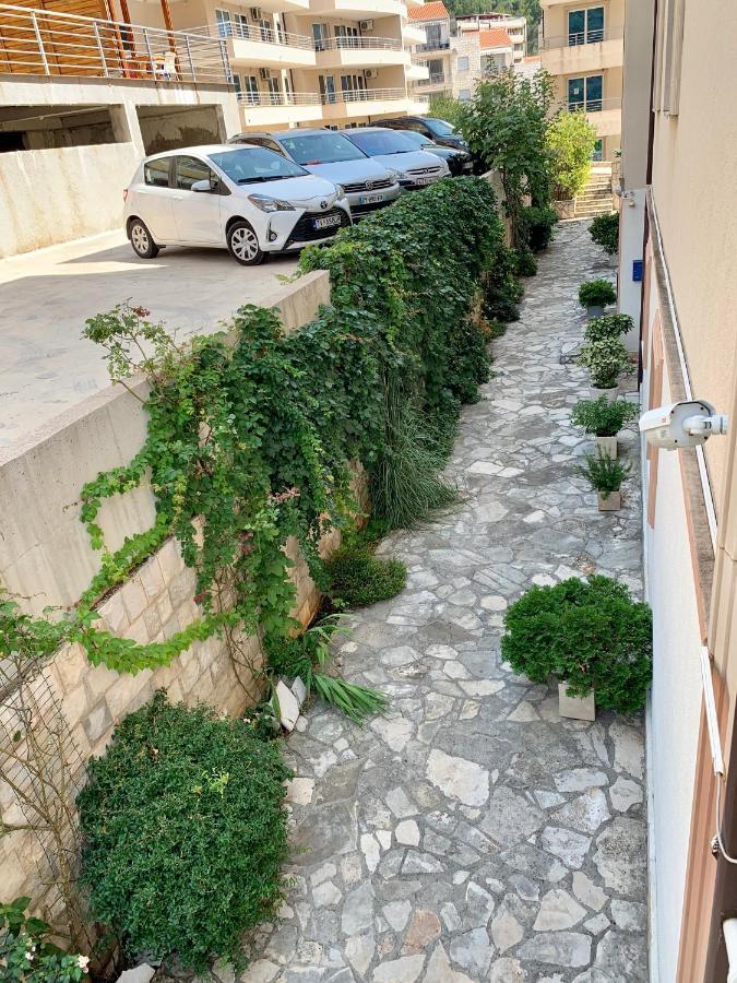 Apartment Liza Petrovac מראה חיצוני תמונה