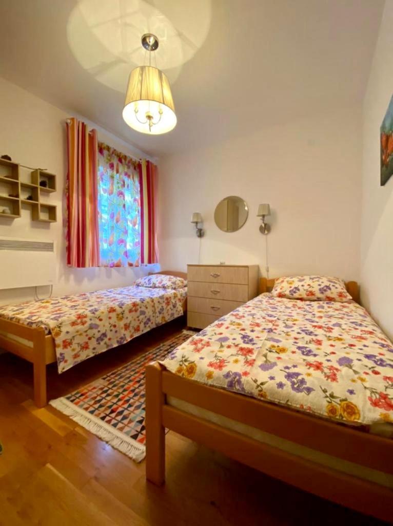 Apartment Liza Petrovac מראה חיצוני תמונה