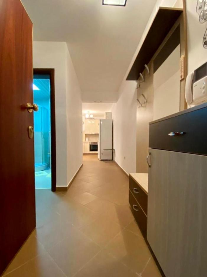 Apartment Liza Petrovac מראה חיצוני תמונה