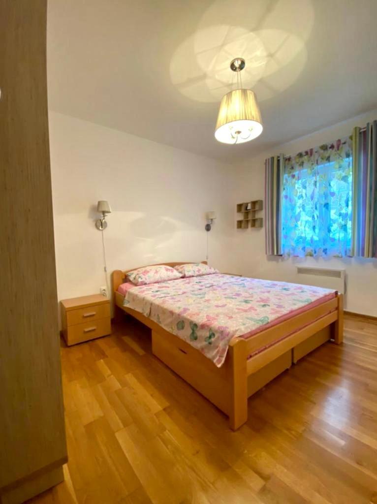 Apartment Liza Petrovac מראה חיצוני תמונה