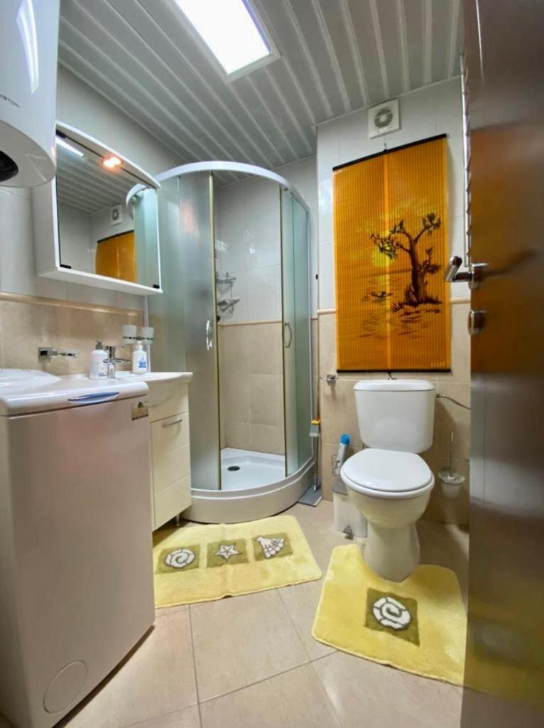 Apartment Liza Petrovac מראה חיצוני תמונה