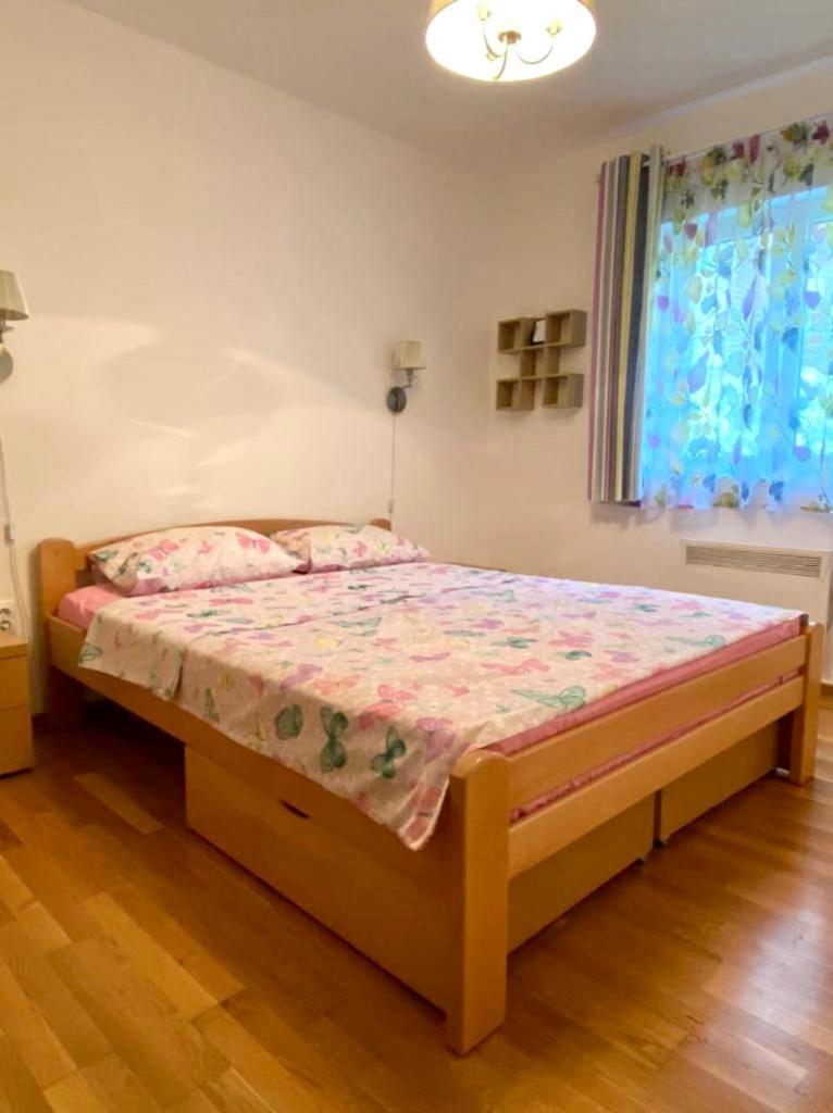 Apartment Liza Petrovac מראה חיצוני תמונה