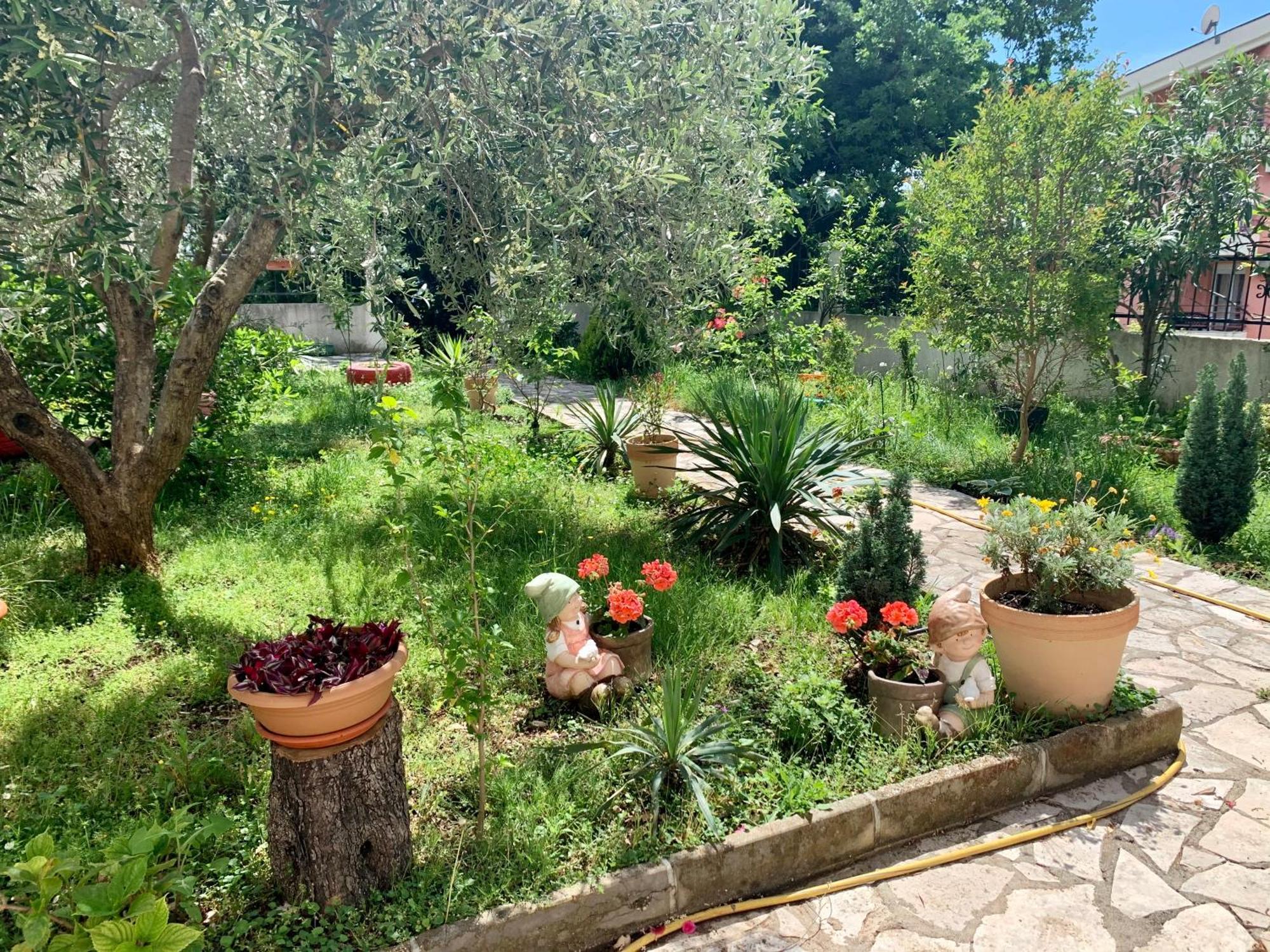 Apartment Liza Petrovac מראה חיצוני תמונה